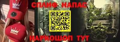дживик Будённовск